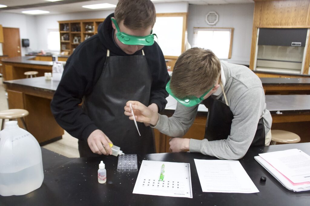 Hammond Baptist Schools Studying